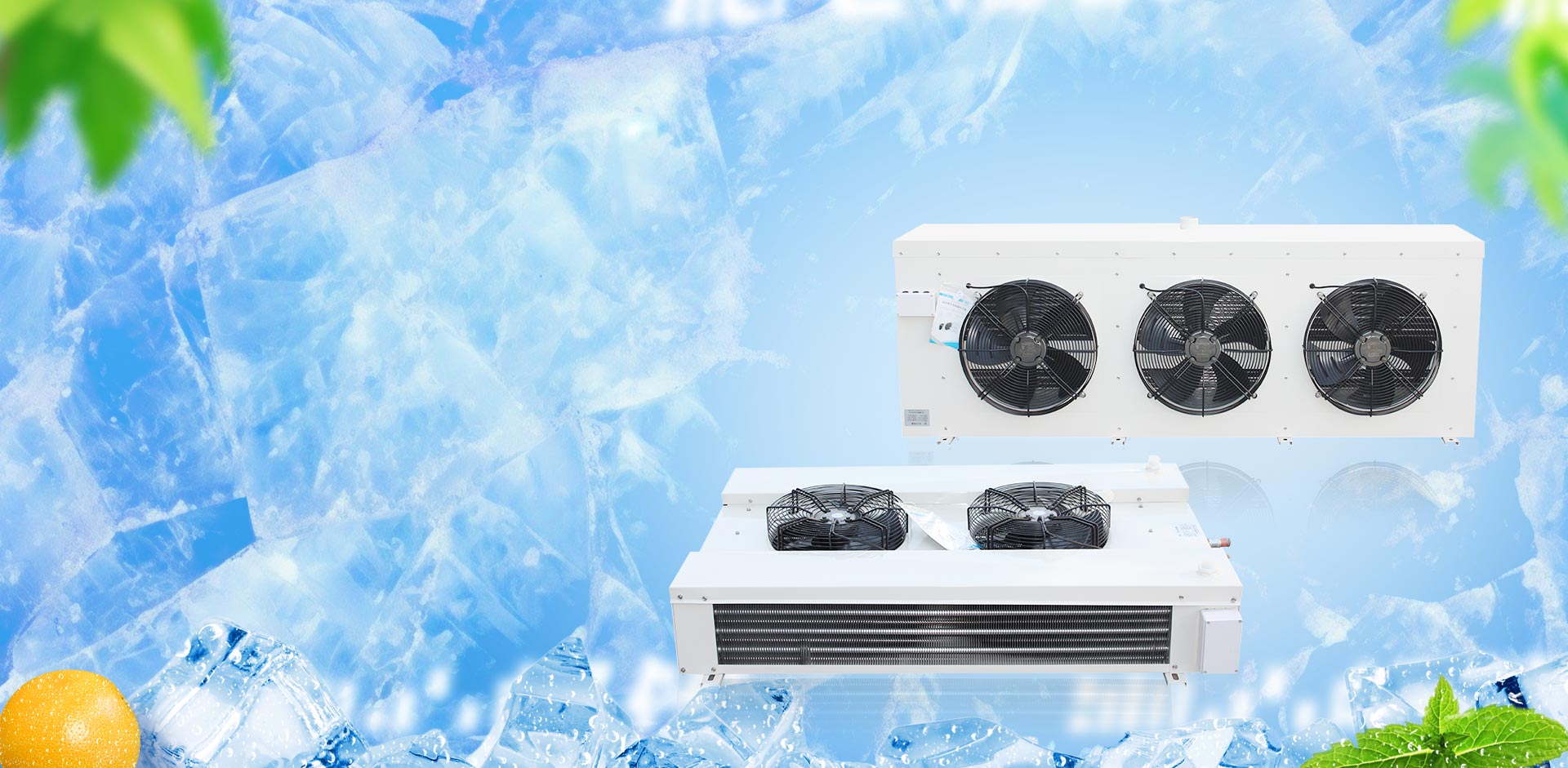 Zhejiang Xinba 냉장 장비 Co., Ltd.